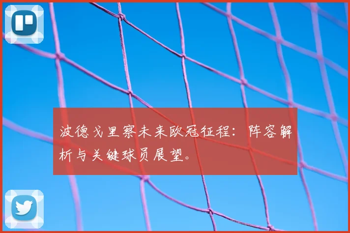 波德戈里察未来欧冠征程：阵容解析与关键球员展望。